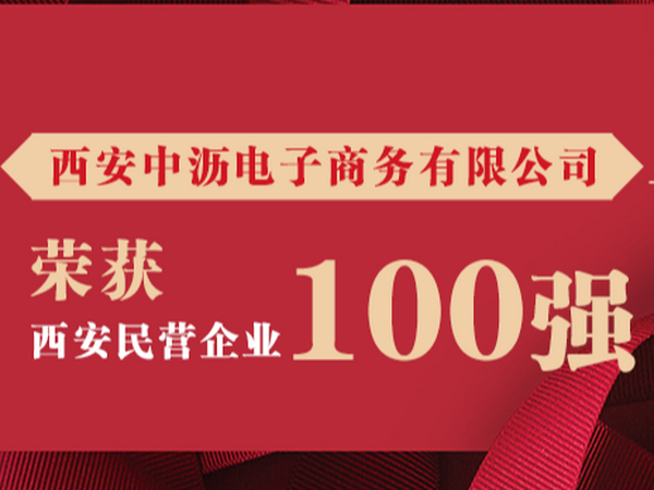 【喜报】再获殊荣！中沥网荣获民营企业100强